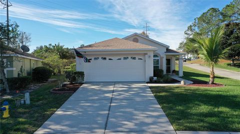 Photo of 3021 Banyan Hill Lane, Land O Lakes, FL 34639 (MLS # TB8455285)