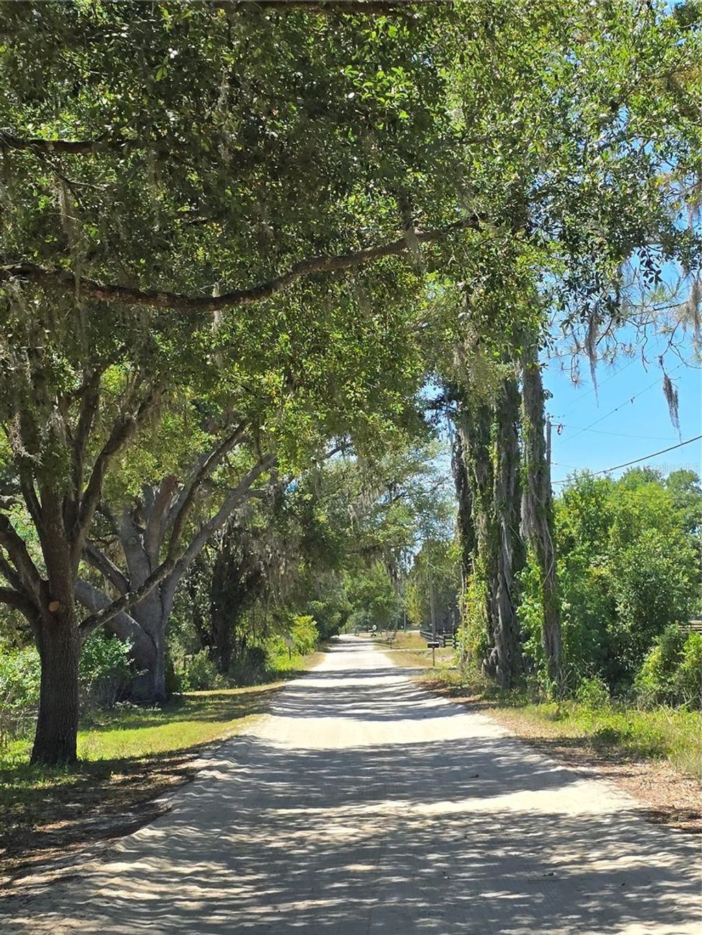 Photo of 27137 Miller Road, Dade City, FL 33525 (MLS # L4961401)