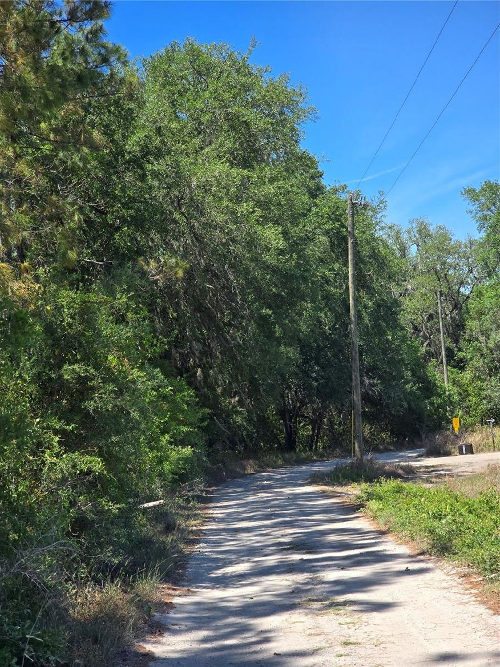 Photo of 27137 Miller Road, Dade City, FL 33525 (MLS # L4961401)