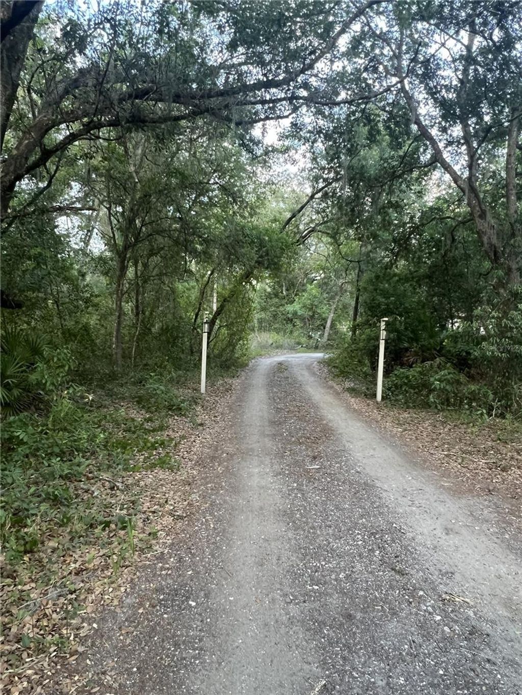 Photo of 27137 Miller Road, Dade City, FL 33525 (MLS # L4961401)