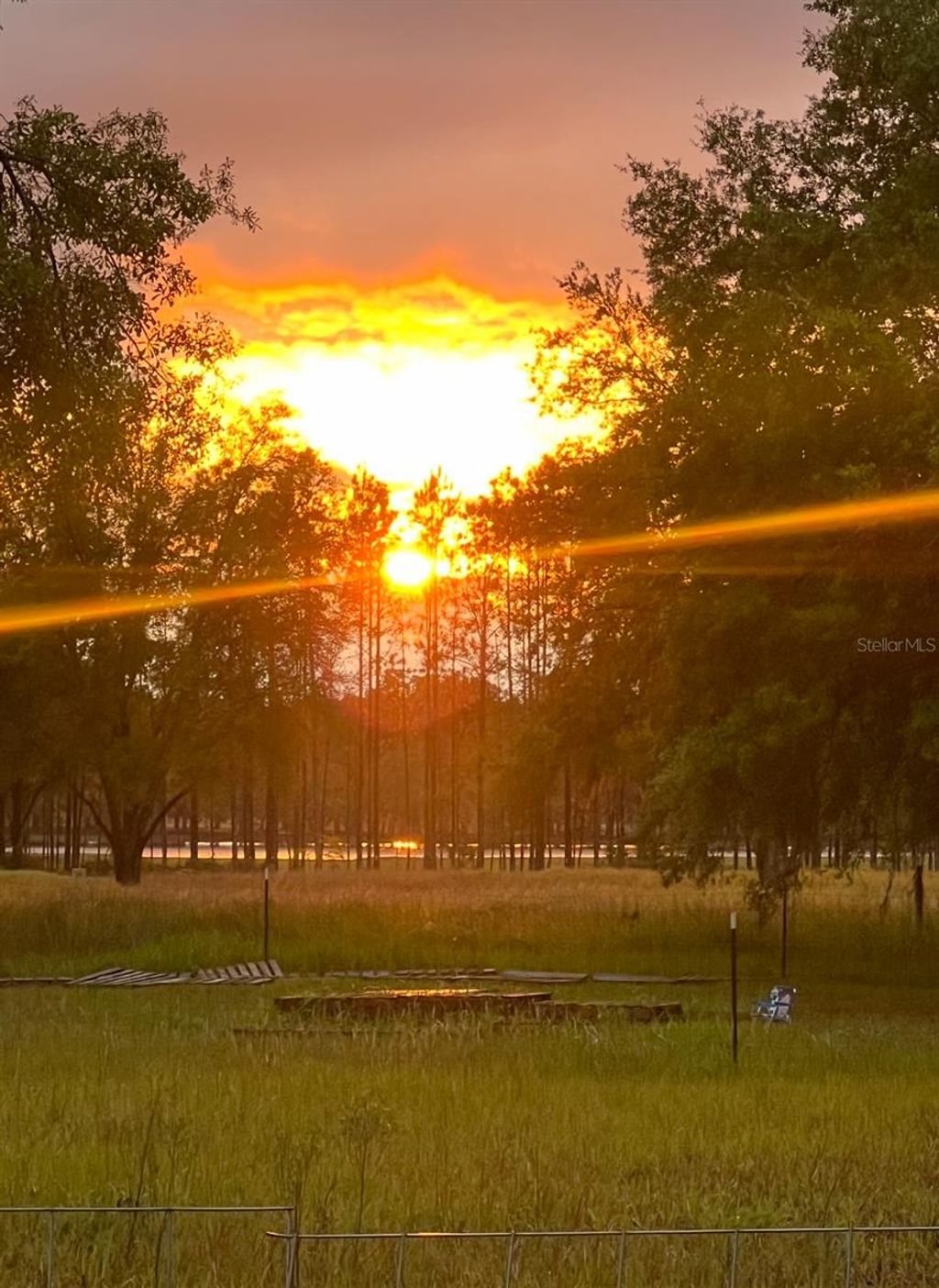 Photo of 27137 Miller Road, Dade City, FL 33525 (MLS # L4961401)