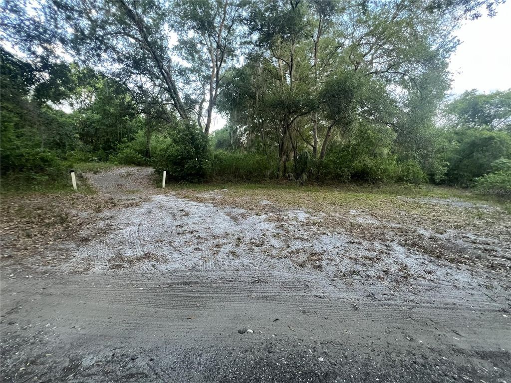 Photo of 27137 Miller Road, Dade City, FL 33525 (MLS # L4961401)