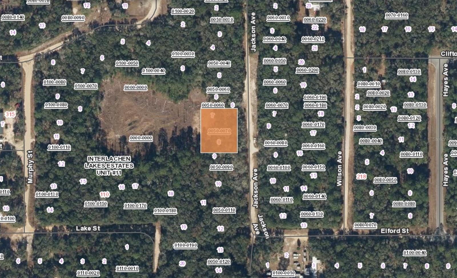 XX JACKSON AVE INTERLACHEN FL