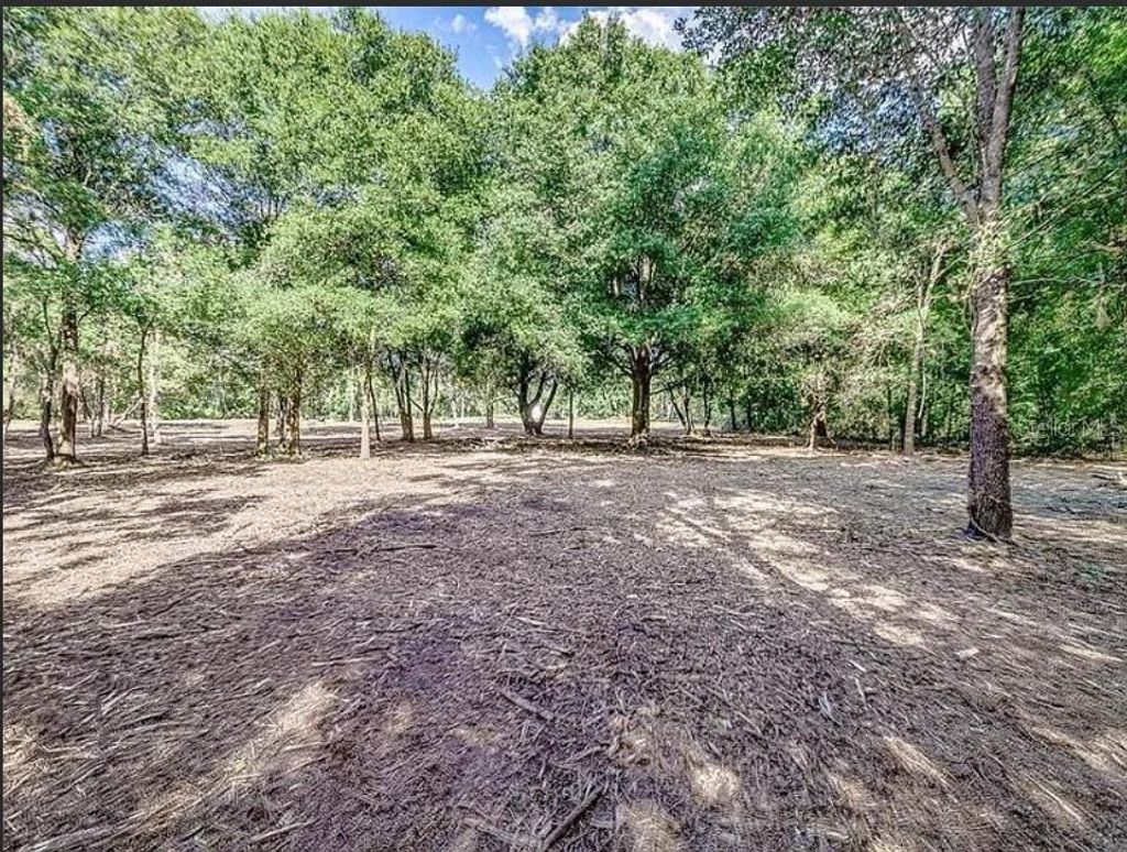 Photo of 4206 Knights Station Road, Lakeland, FL 33810 (MLS # TB8362338)