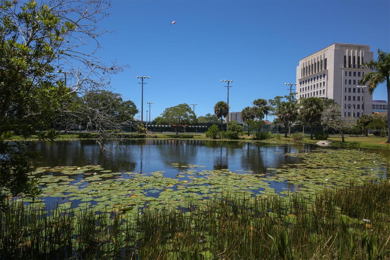 PAYNE PARK VILLAGE PH I - Residential