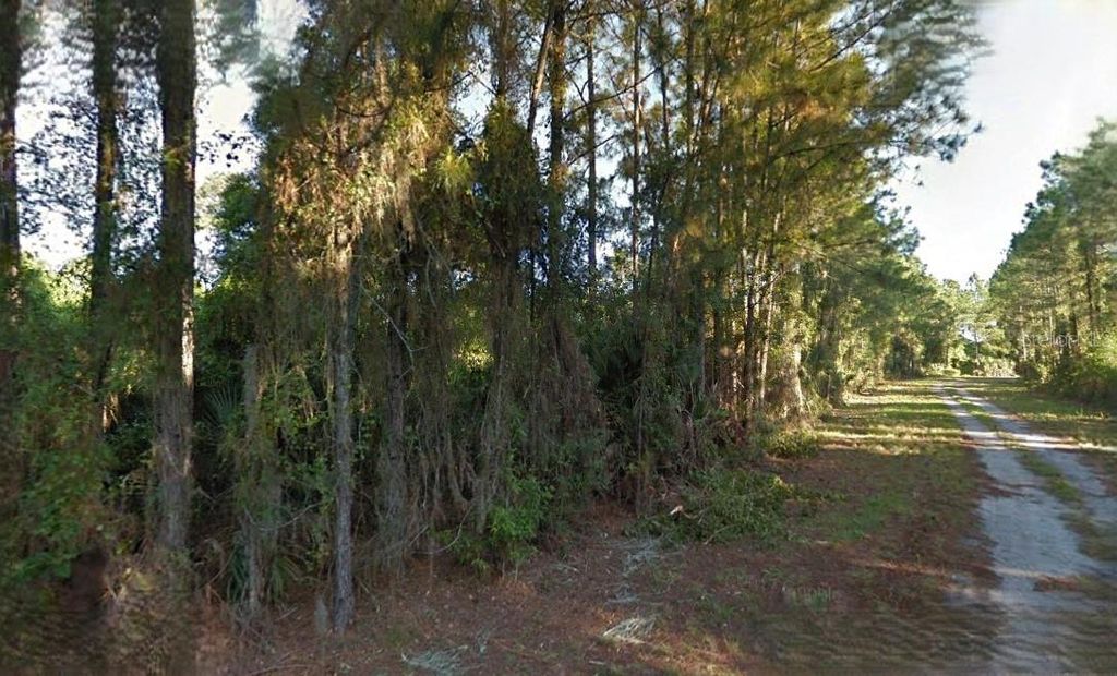 Photo of Lutz Road, North Port, FL 34286 (MLS # O6282139)