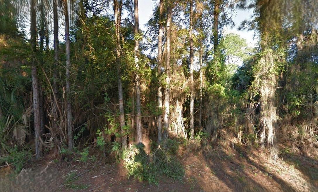 Nice vacant lot in a growing area. All information provided is deemed reliable but is not guaranteed and should be independently verified.