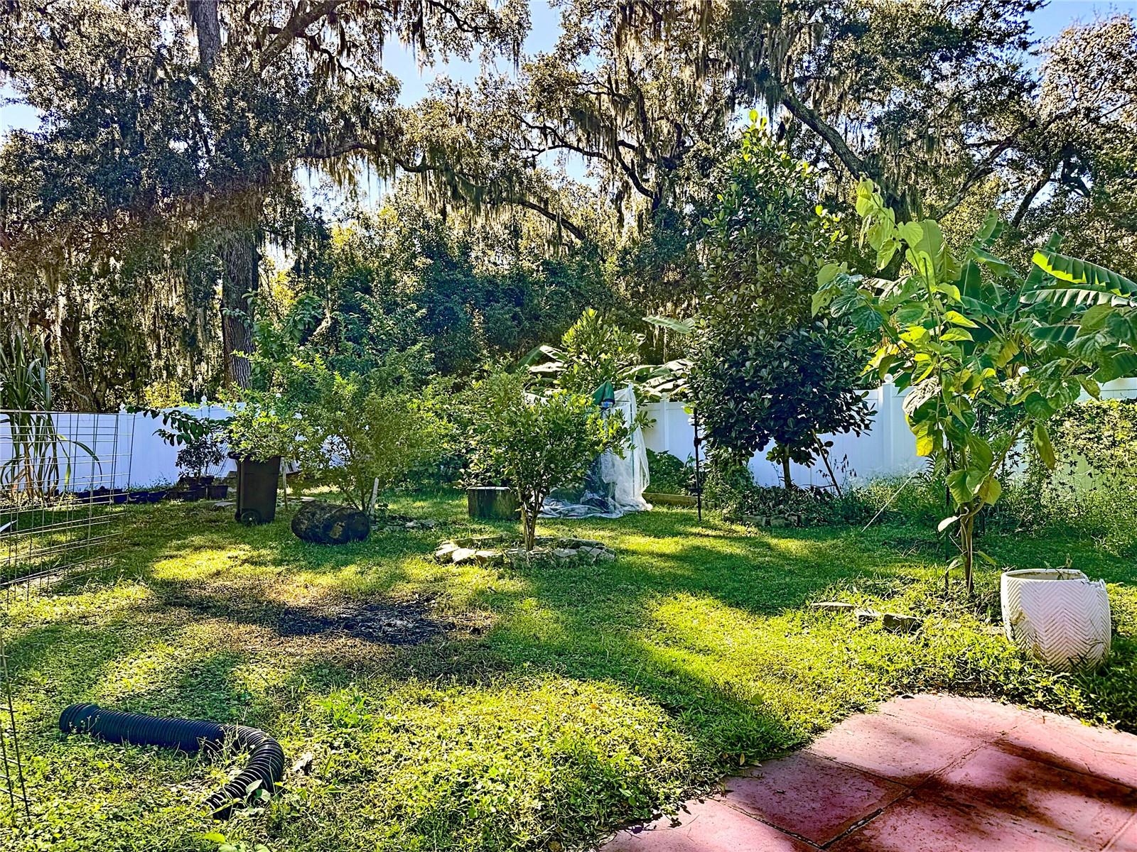 FELLS COVE UNIT 2 PH 1 - Residential Lease