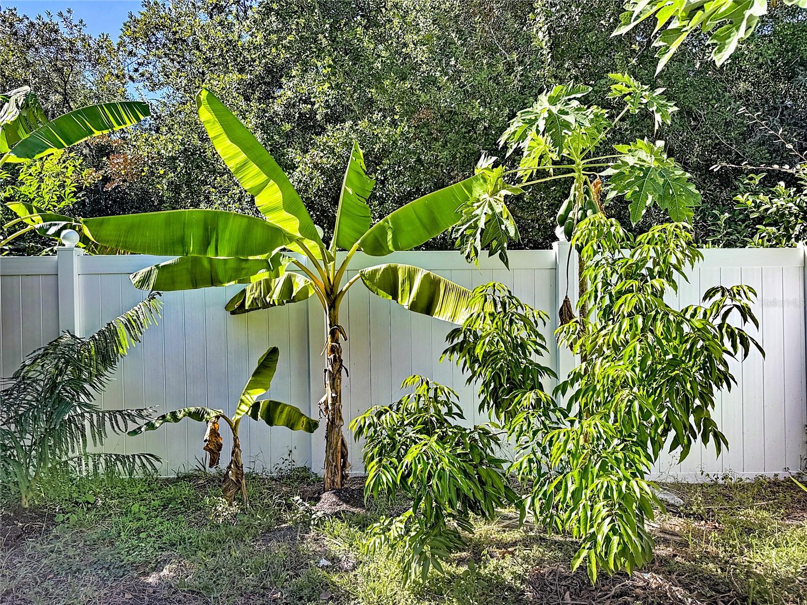 FELLS COVE UNIT 2 PH 1 - Residential Lease