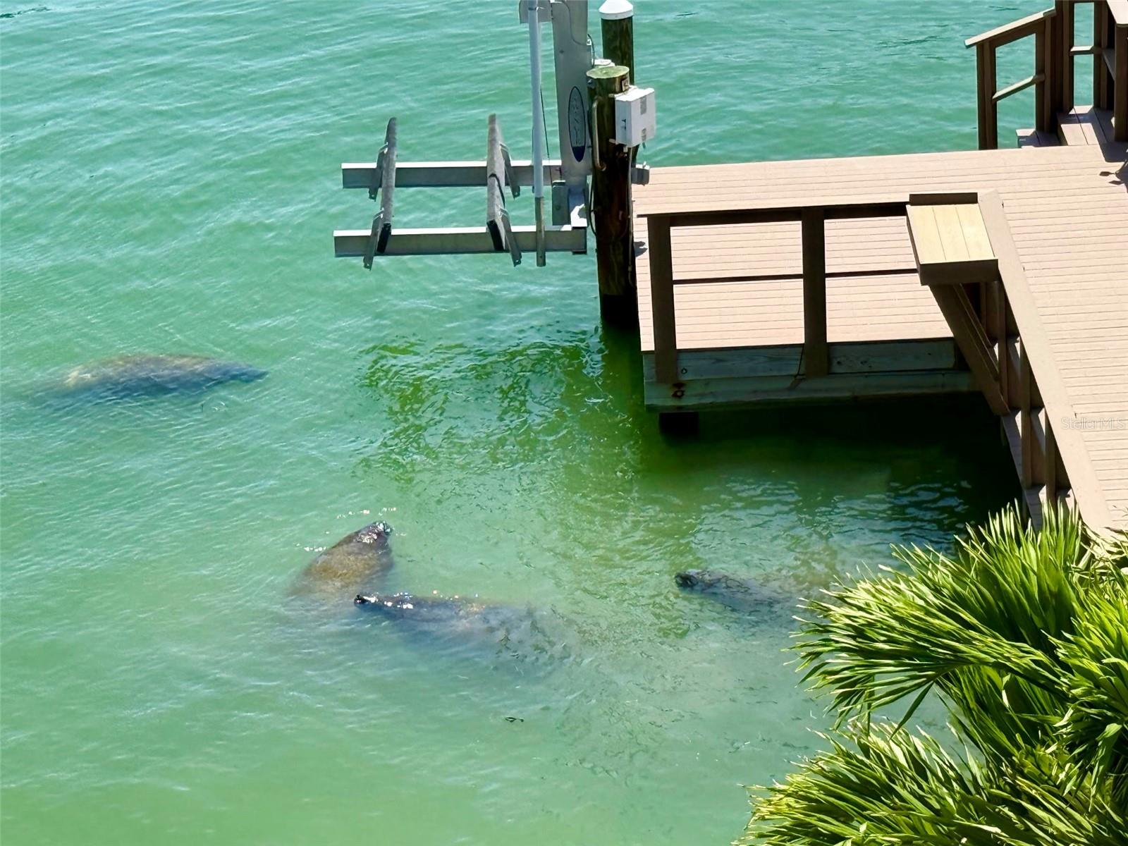 ISLE OF PALMS 2ND ADD - Residential