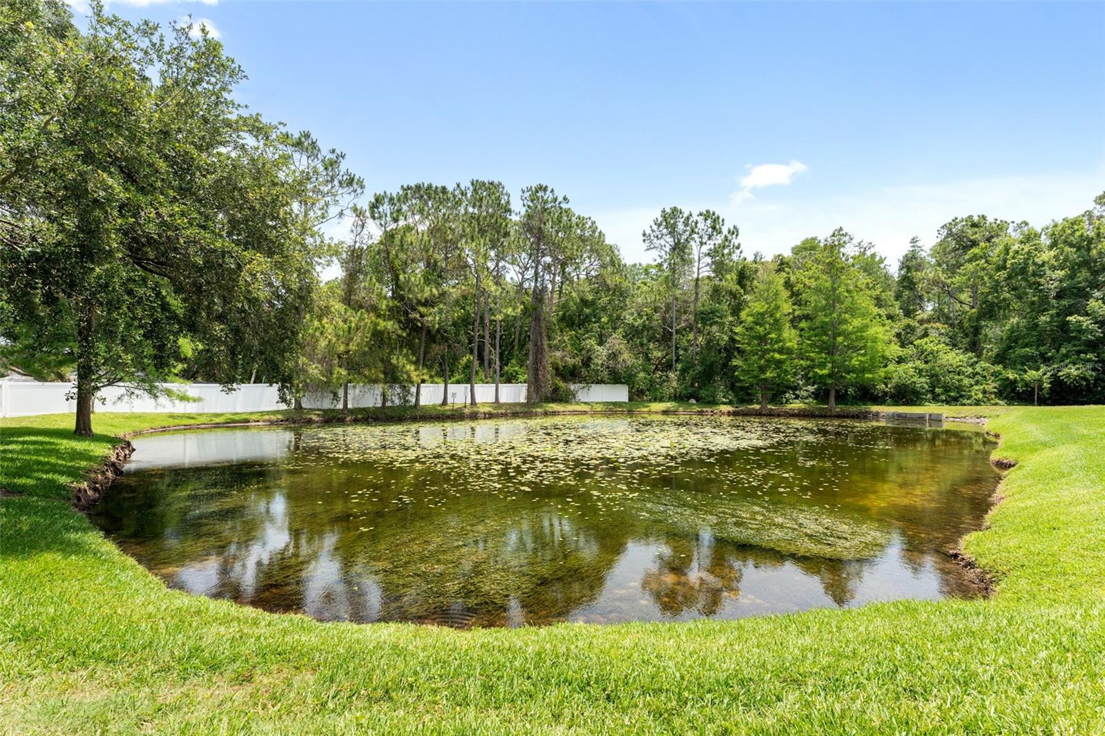 EDGEWATER PLACE - Residential