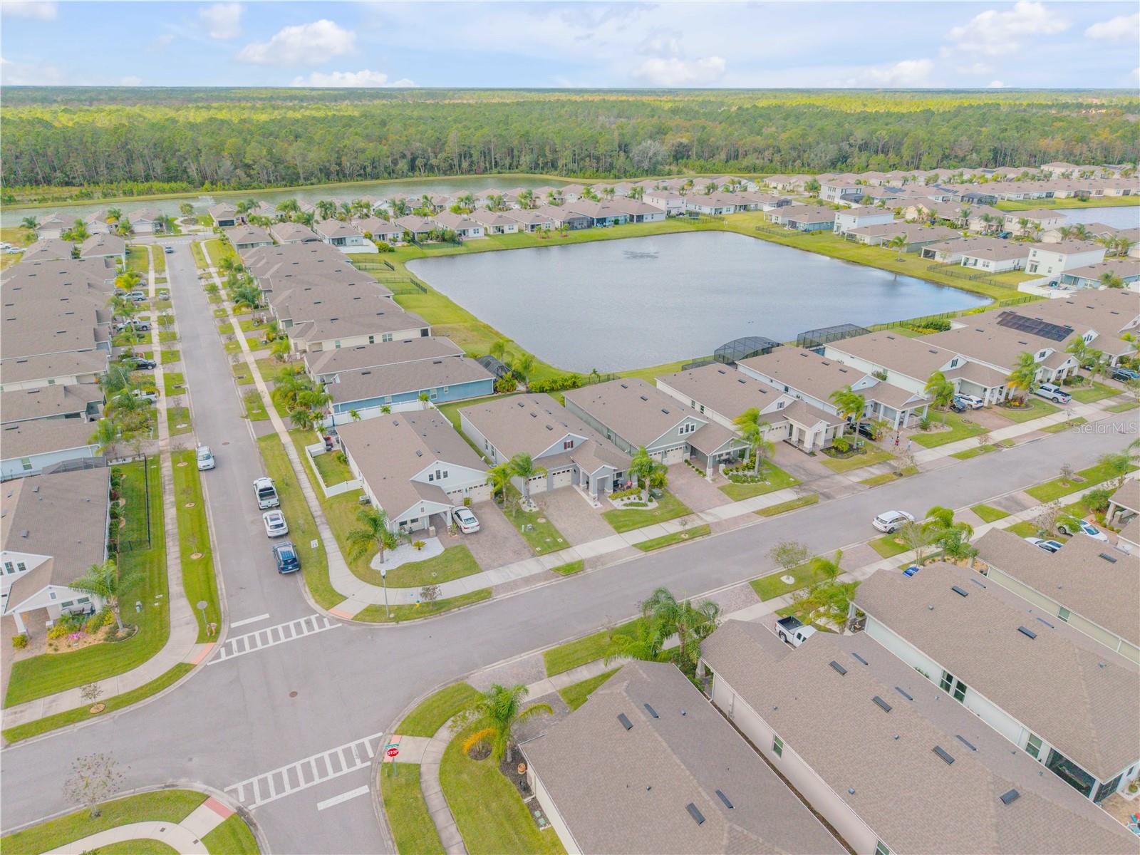 PALMS PH 2B - Residential