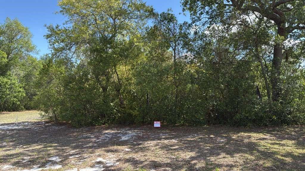 BAY STREET VILLAS - Land