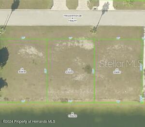 HERNANDO BEACH - Land