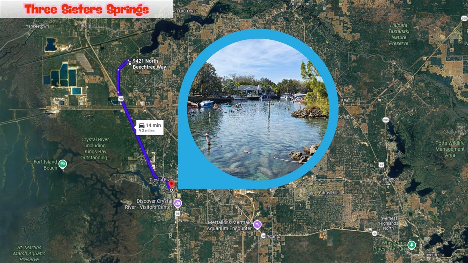 9421 N BEECHTREE WAY