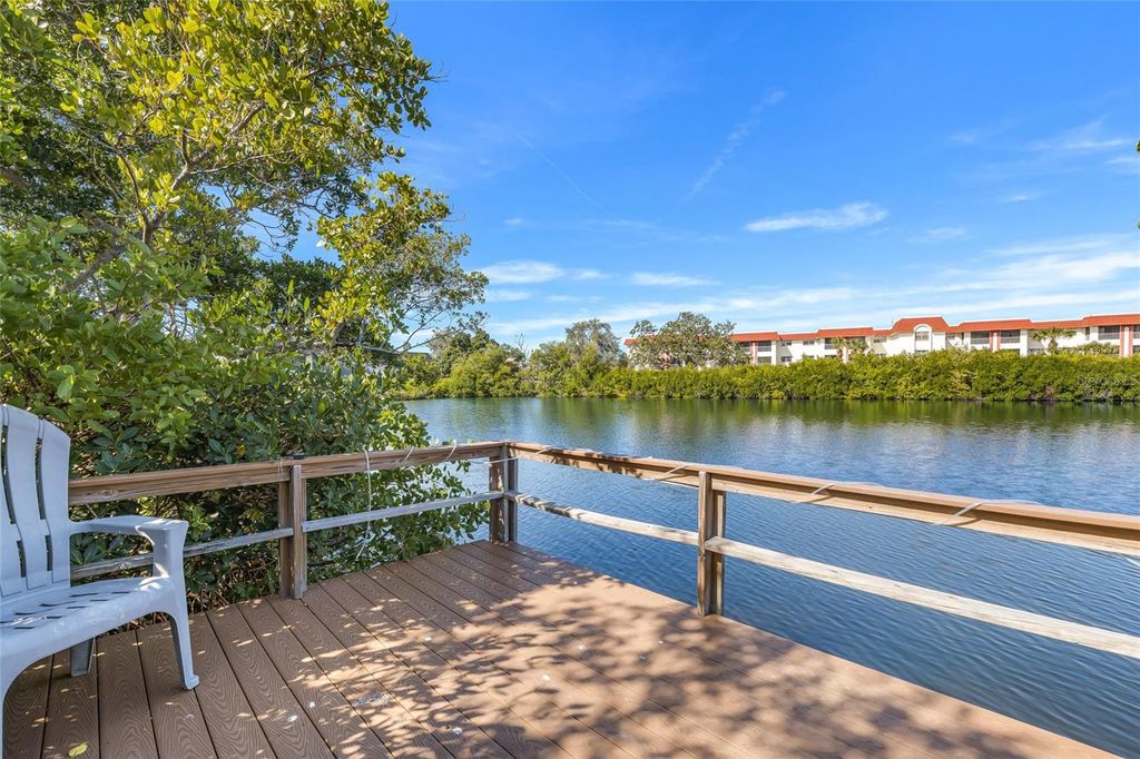 Photo of 4580 Overlook Drive NE #293, St Petersburg, FL 33703 (MLS # TB8447868)