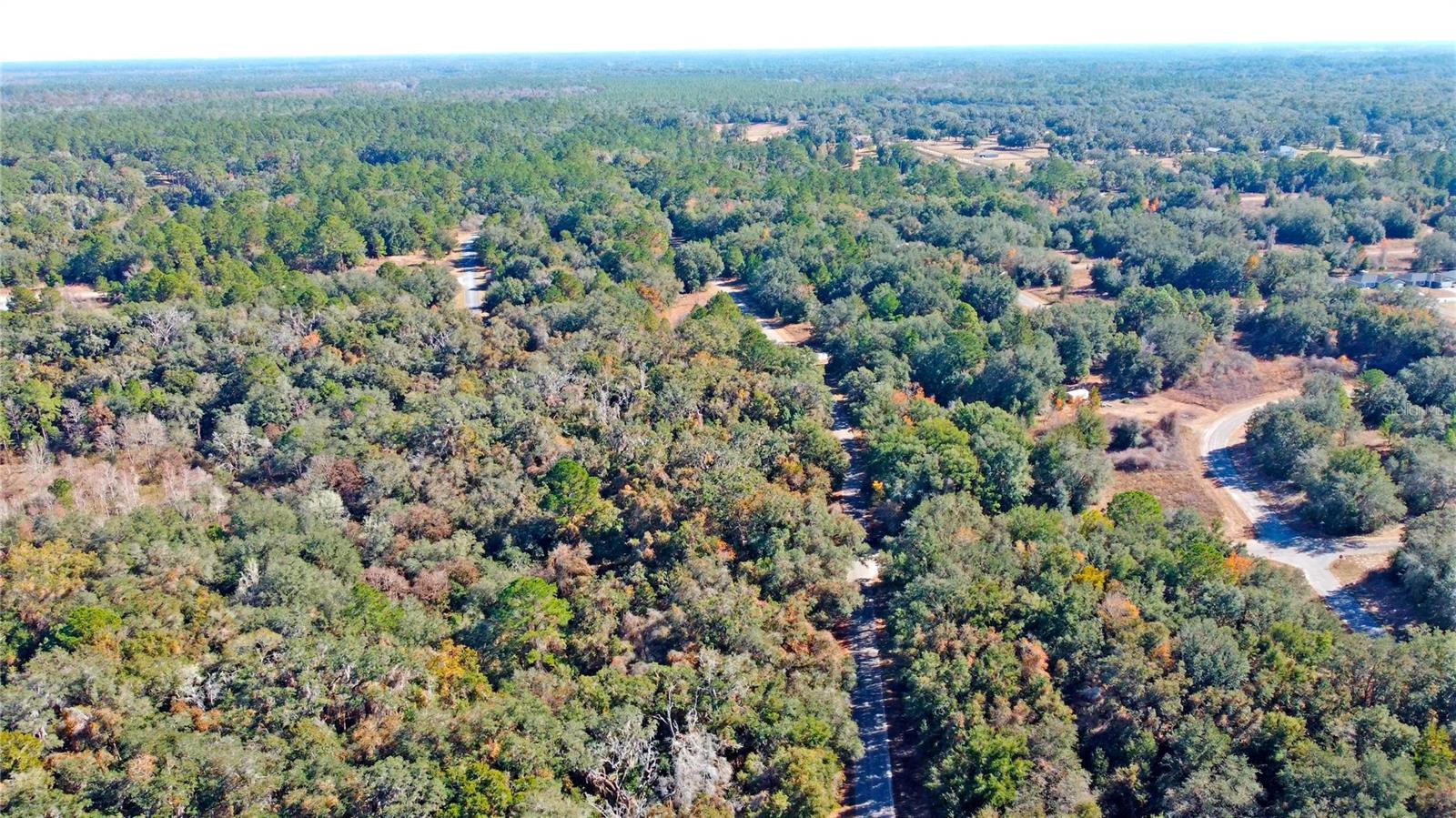 CITRUS SPRINGS UNIT 17 - Land