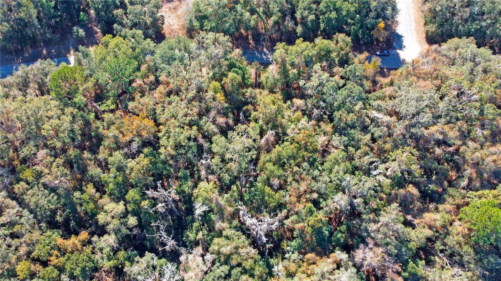 CITRUS SPRINGS UNIT 17 - Land