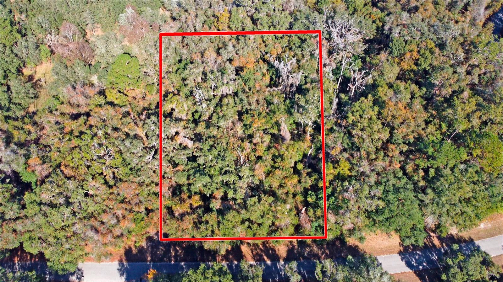 CITRUS SPRINGS UNIT 17 - Land