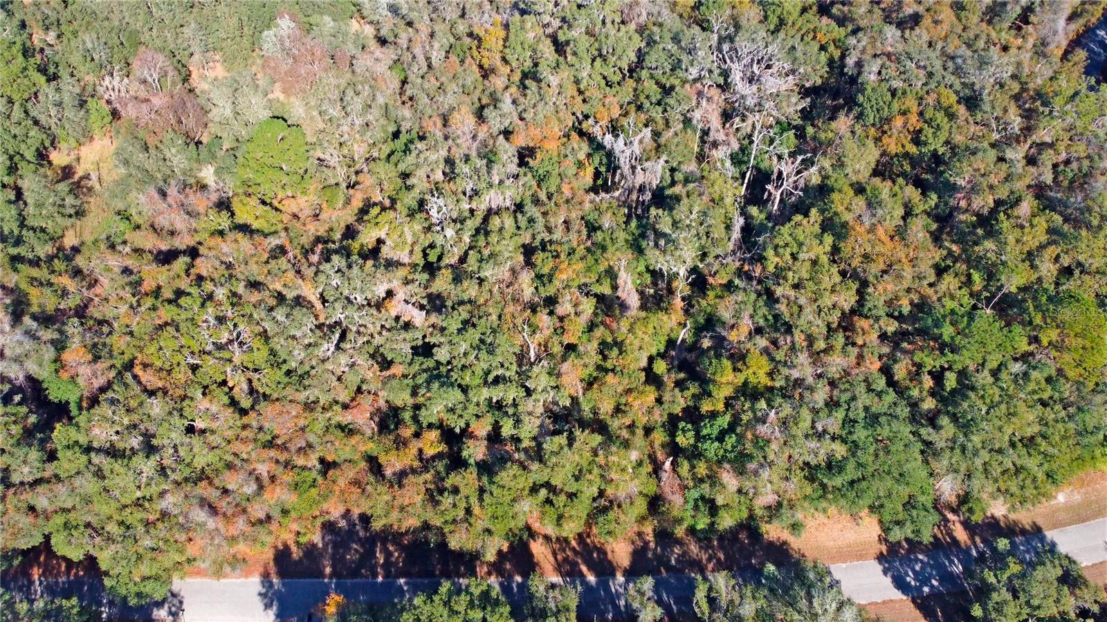 CITRUS SPRINGS UNIT 17 - Land