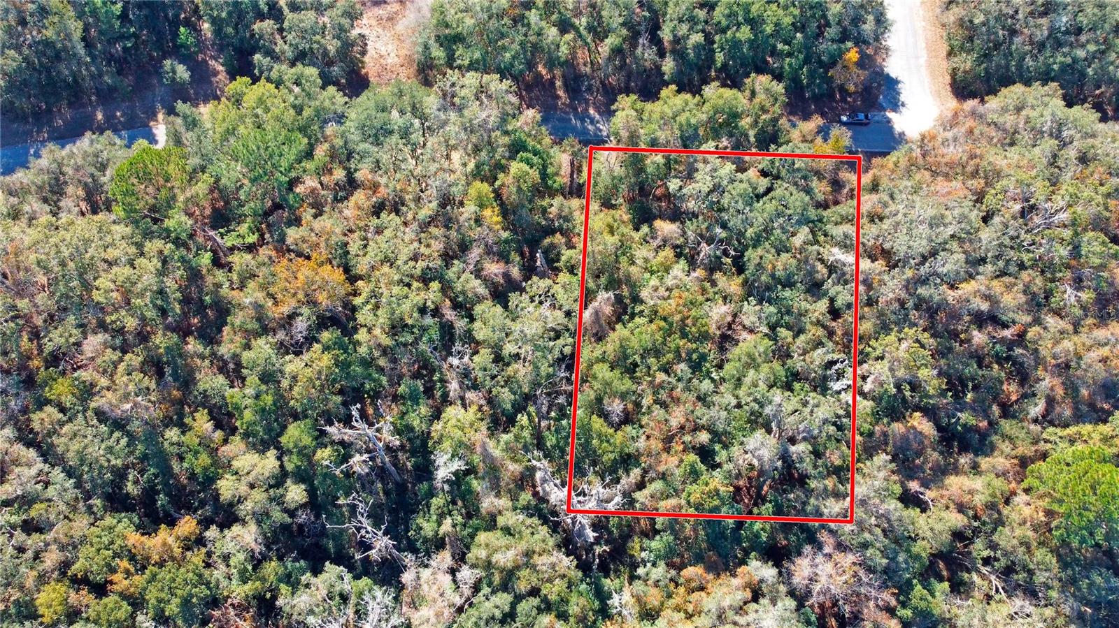 CITRUS SPRINGS UNIT 17 - Land