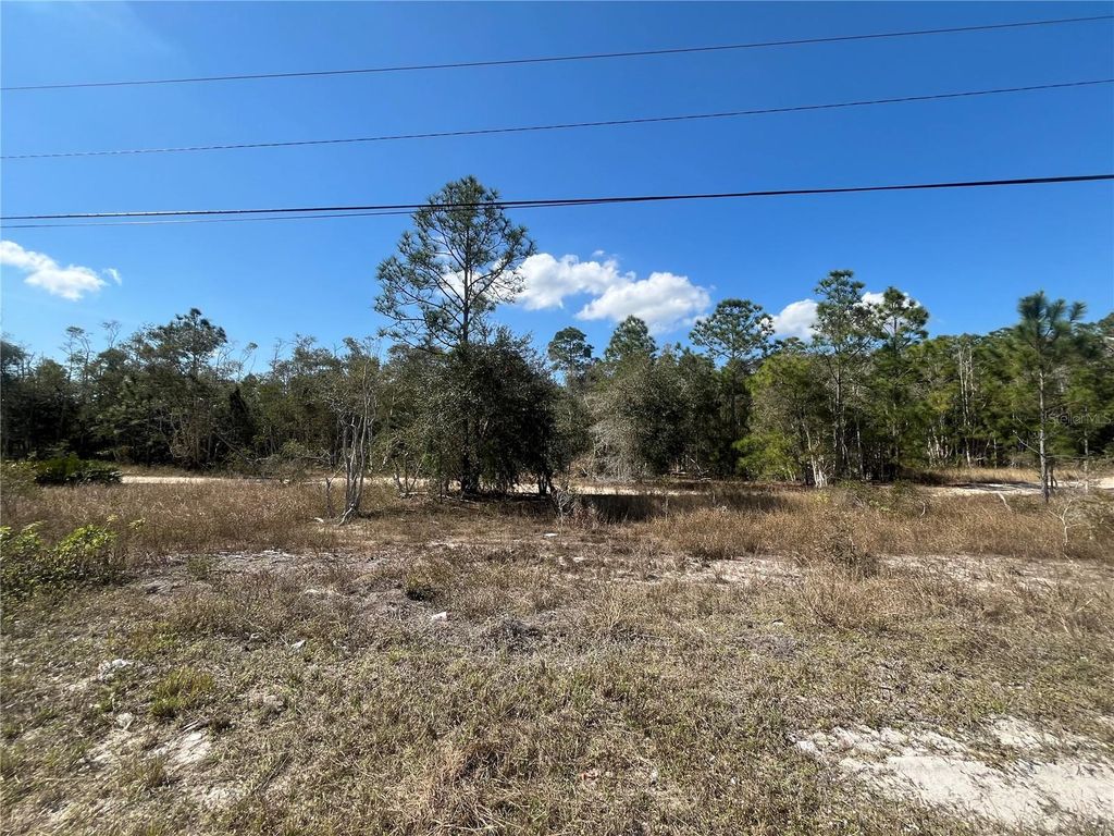Photo of 494 Burrstone Drive, Lehigh Acres, FL 33974 (MLS # OK224814)