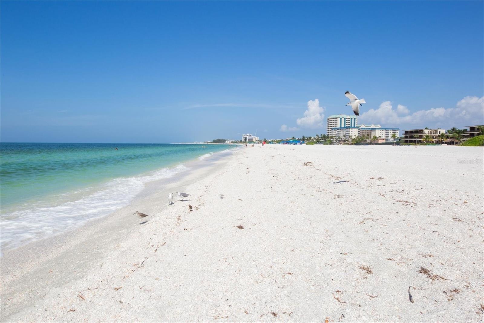 LIDO BEACH CLUB - Residential