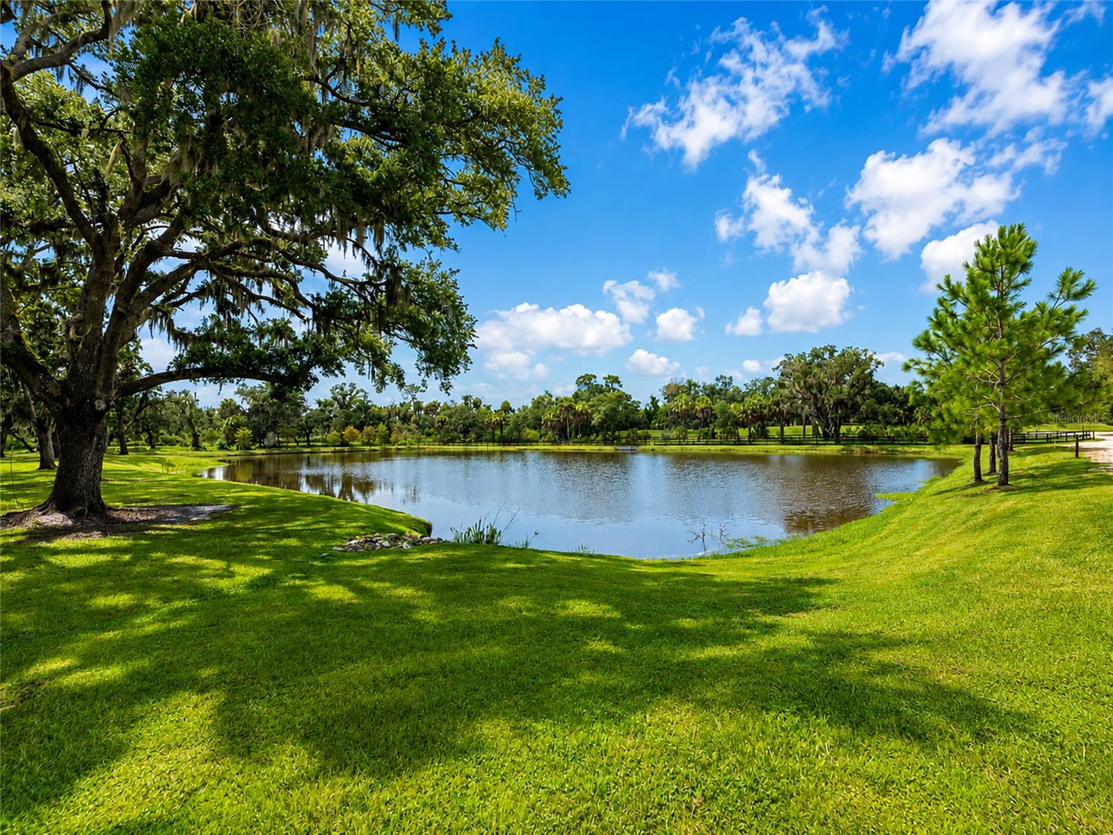 14941 BARROWS BLUFF TERRACE