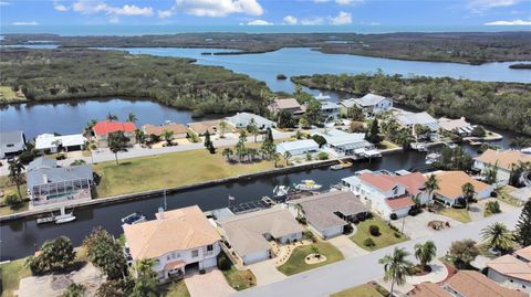 A home in PORT RICHEY