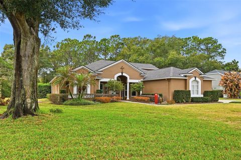 Photo of 587 Masalo Place, Lake Mary, FL 32746 (MLS # O6383835)