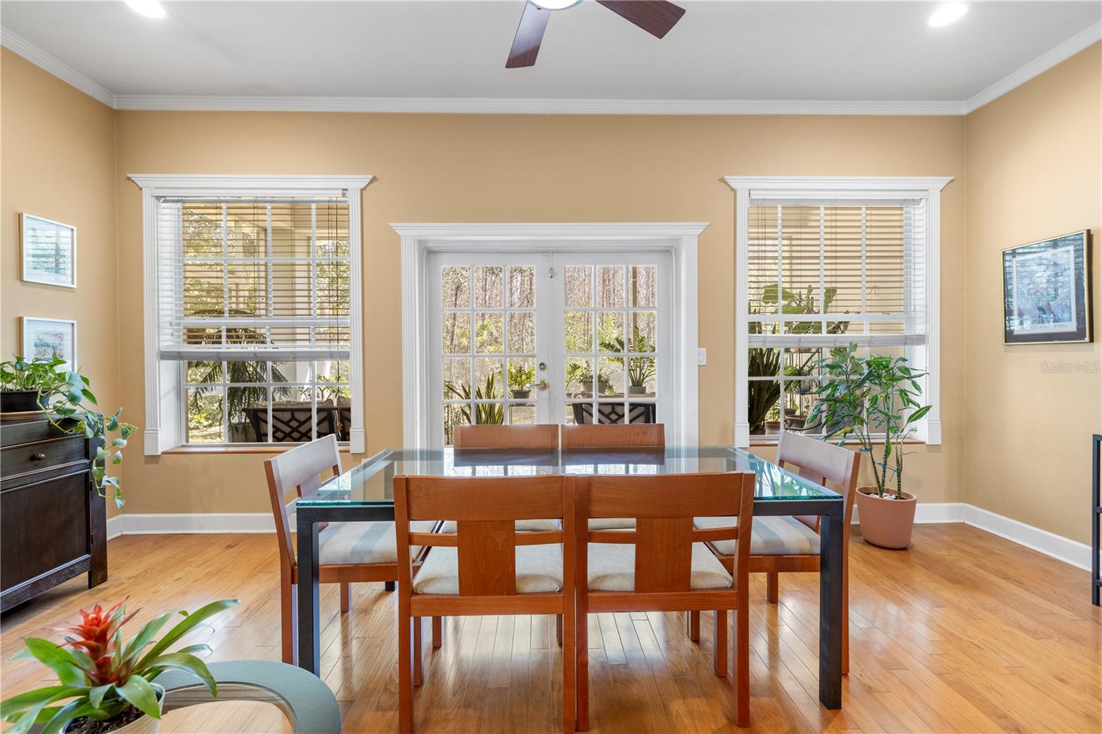 CITRUS FALLS COMMONS VILLAS - Residential