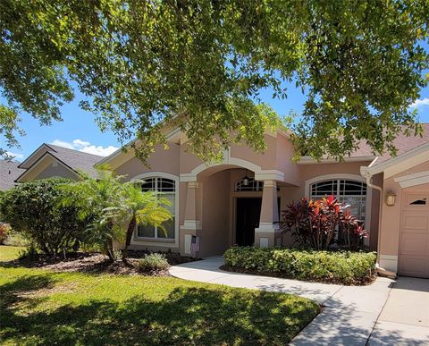 16106 BRIDGEDALE DRIVE LITHIA FL 33547