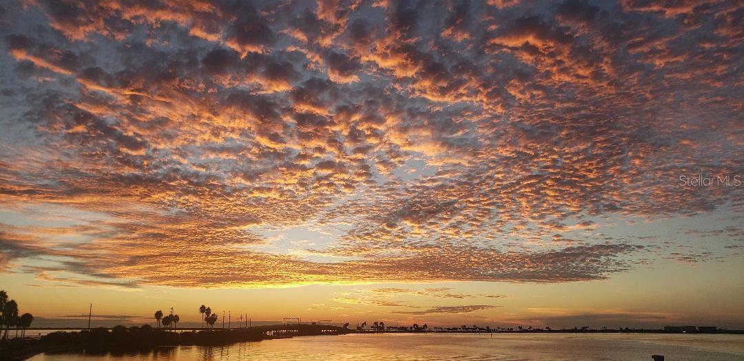 DUNEDIN CSWY CENTER - Residential Lease