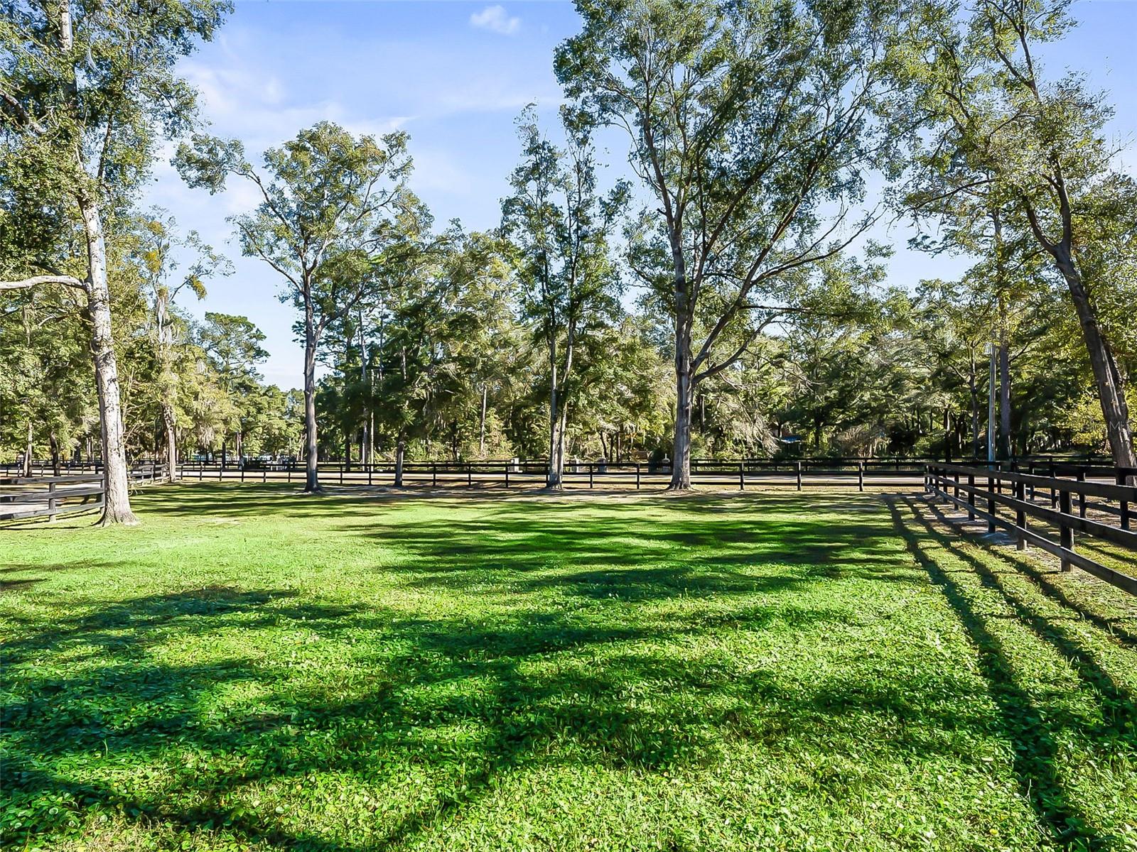 FINISH LINE - Residential