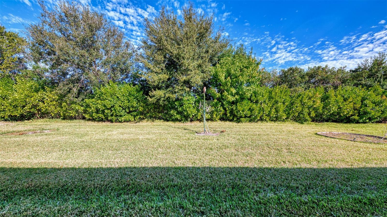 CARIBBEAN VILLAGE - Residential