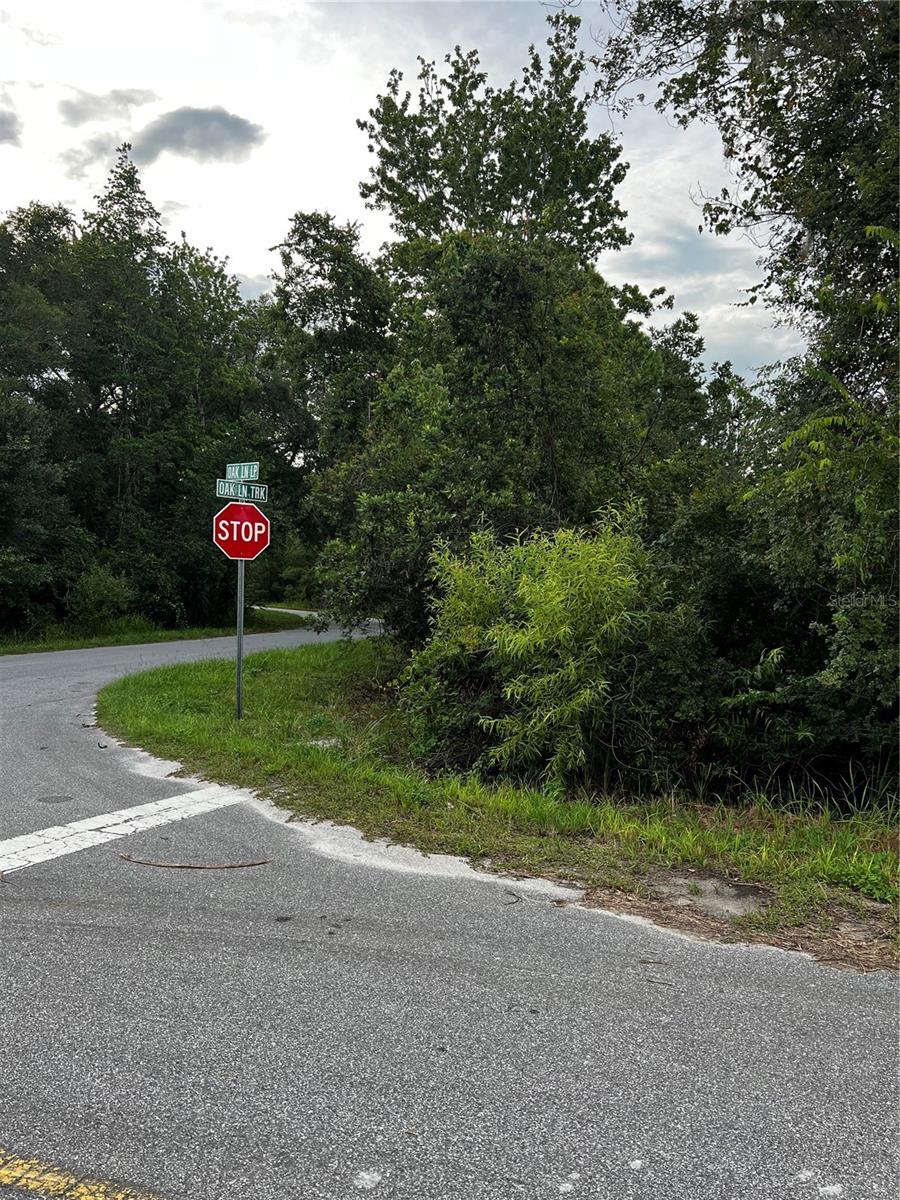 SILVER SPGS SHORES 50 - Land