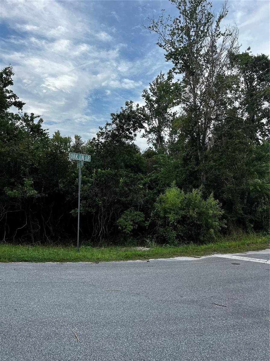 SILVER SPGS SHORES 50 - Land