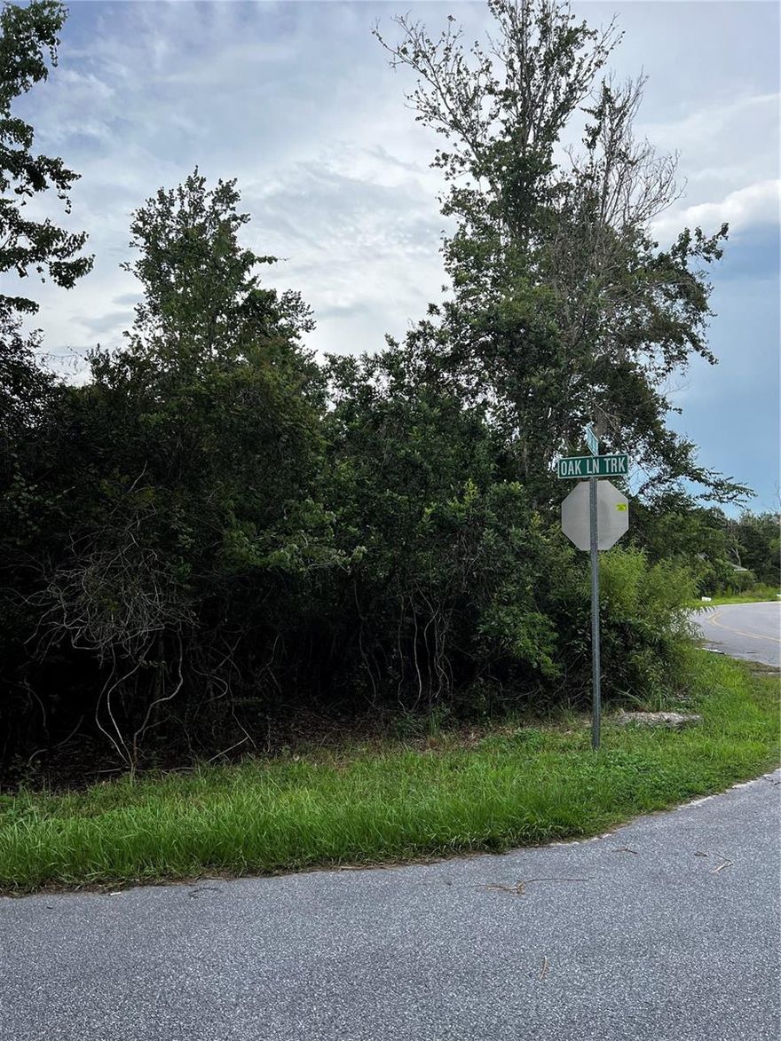 GREAT OPPORTUNITY TO BUILD YOUR FUTURE HOME ON A CORNER LOT IN SILVER SPRING SHORES.  CONVENIANTLY LOCATED NEAR SHOPPING CENTERS BUT ALSO GET A TASTE OF NATURE IN SILVER SPRINGS.