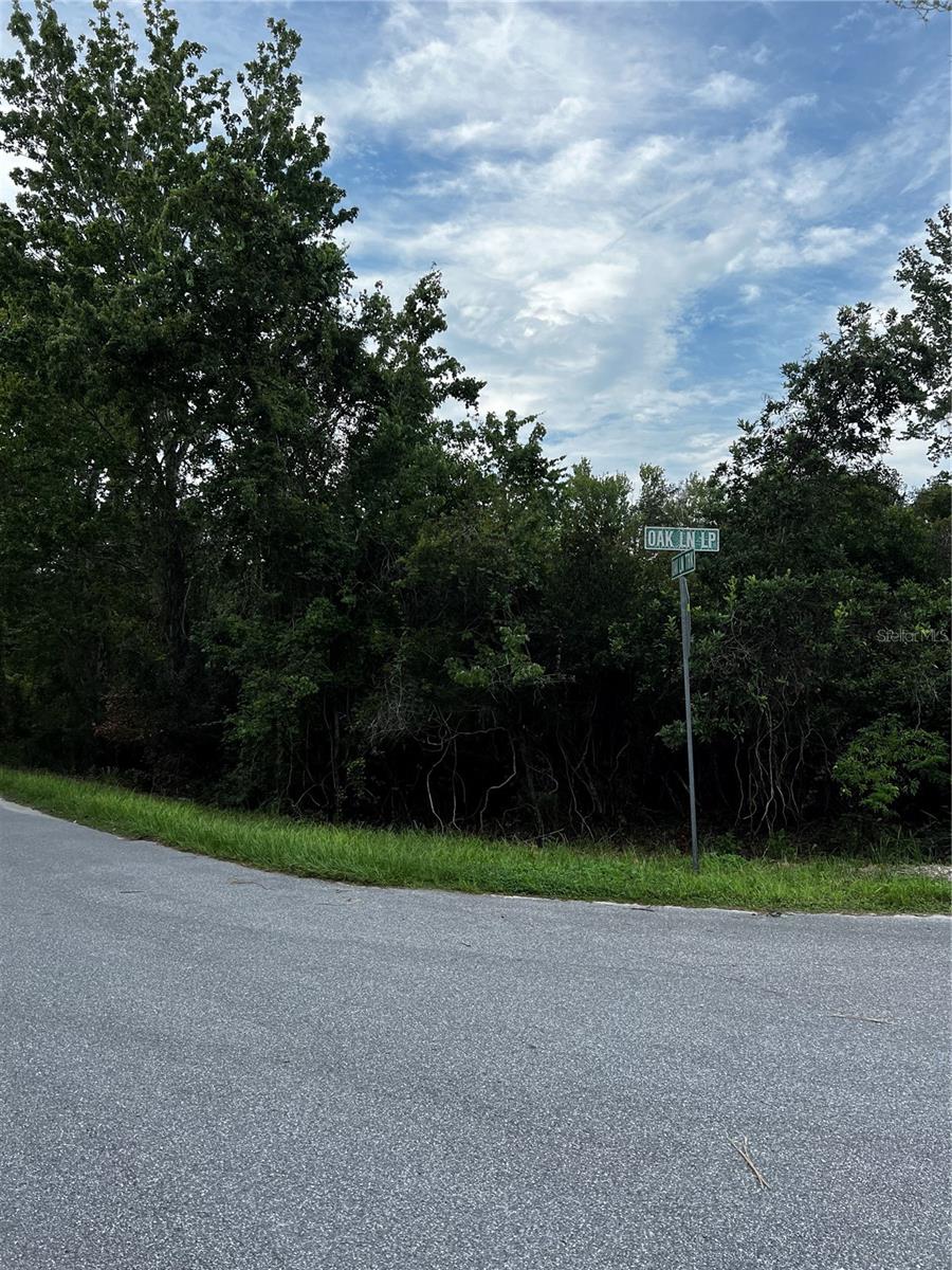 SILVER SPGS SHORES 50 - Land