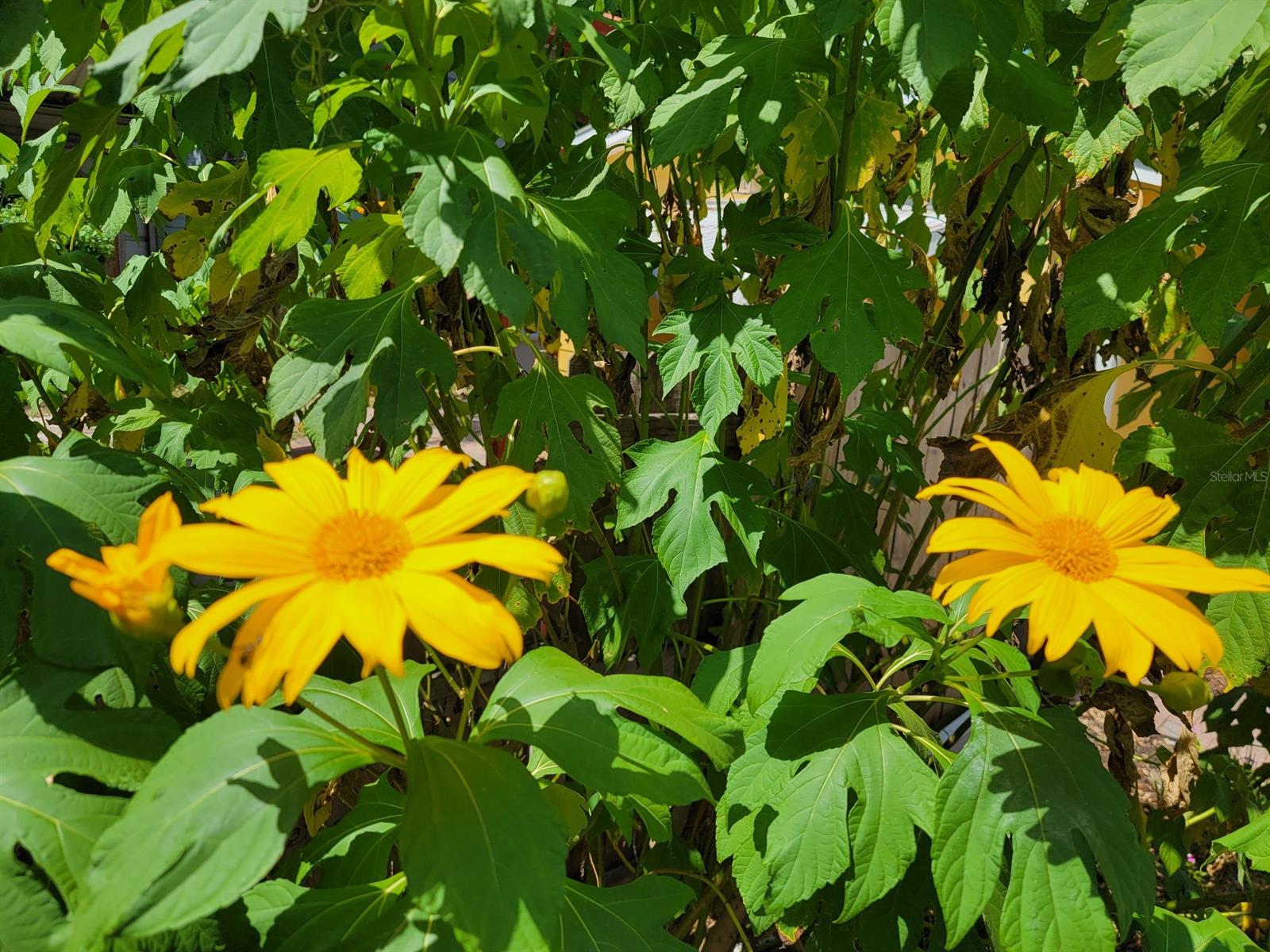 Corbin Park Unit 03 - Residential