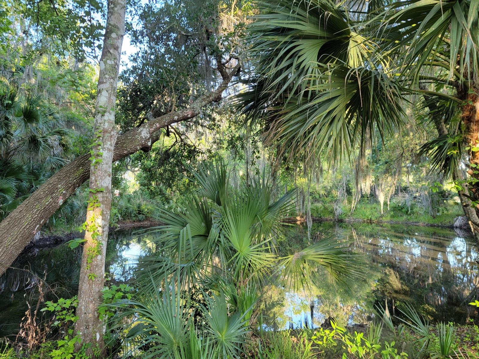 Corbin Park Unit 03 - Residential