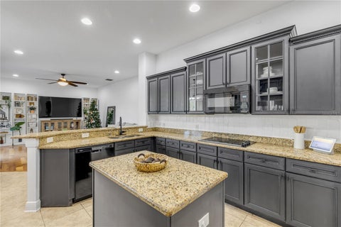 Tiny photo for 3021 Isola Bella Boulevard, Mount Dora, FL 32757 (MLS # NS1088222)