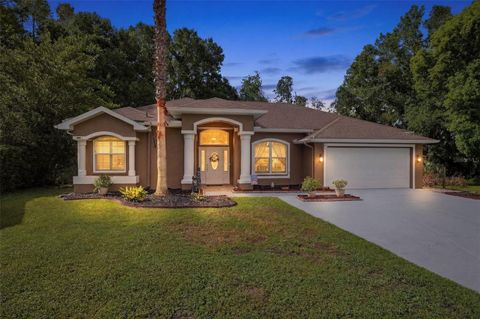 Photo of 4710 Basswood Street, Land O Lakes, FL 34639 (MLS # W7887610)