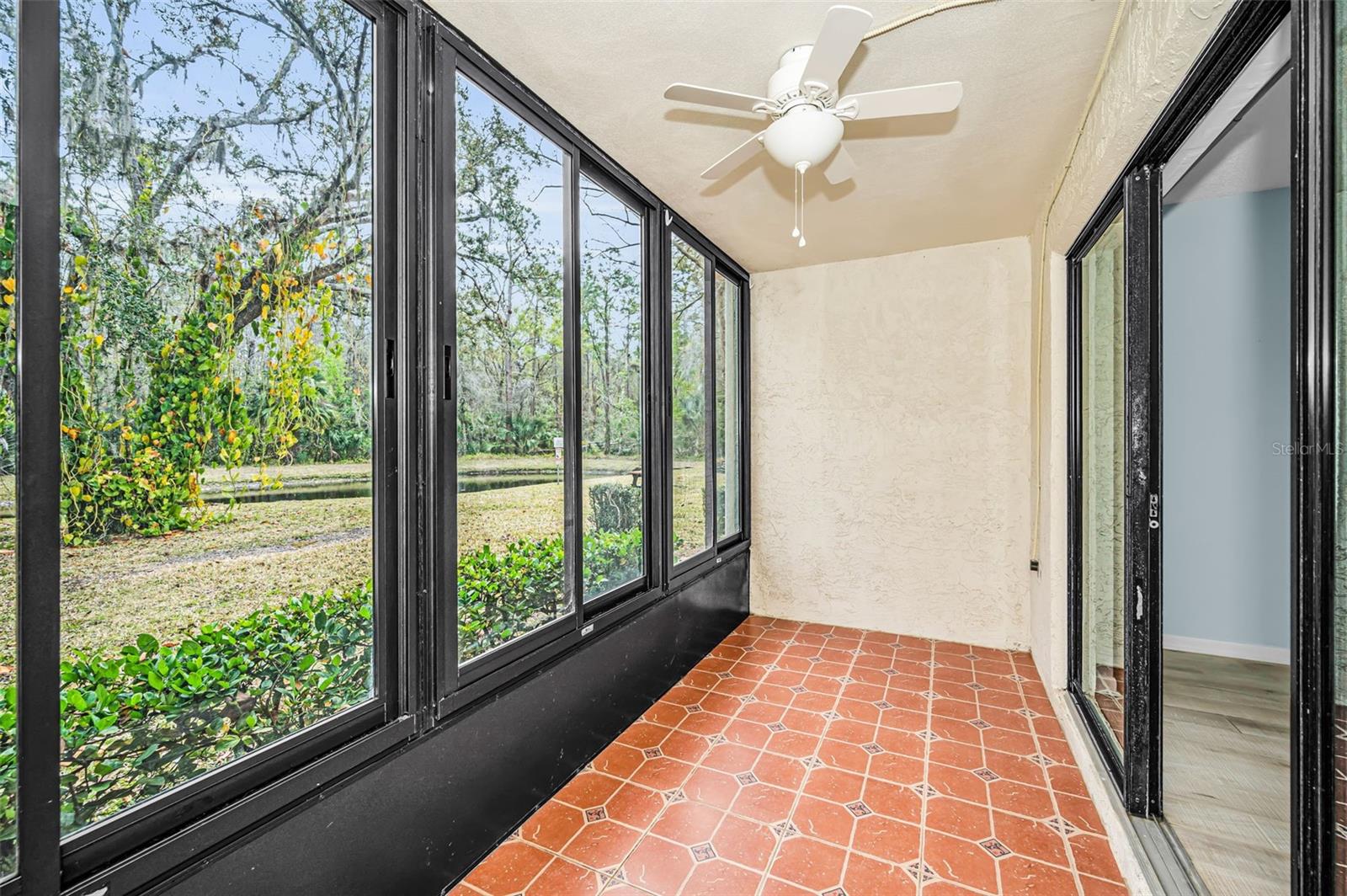 PINE RIDGE AT LAKE TARPON VILLAGE - Residential