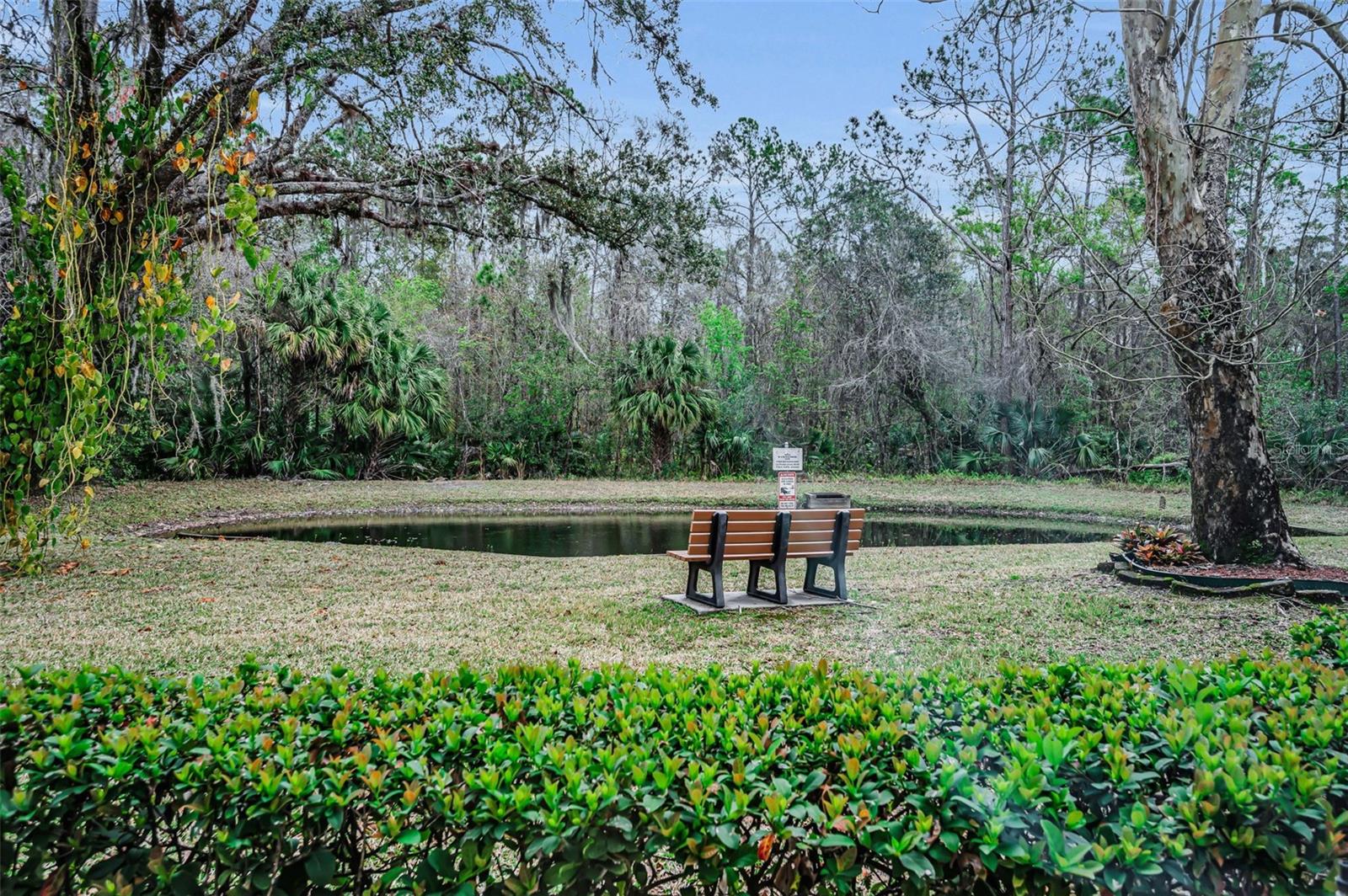 PINE RIDGE AT LAKE TARPON VILLAGE - Residential