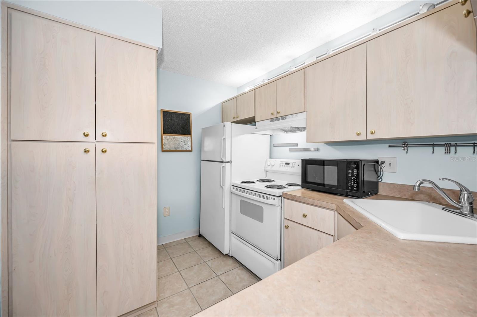 PINE RIDGE AT LAKE TARPON VILLAGE - Residential