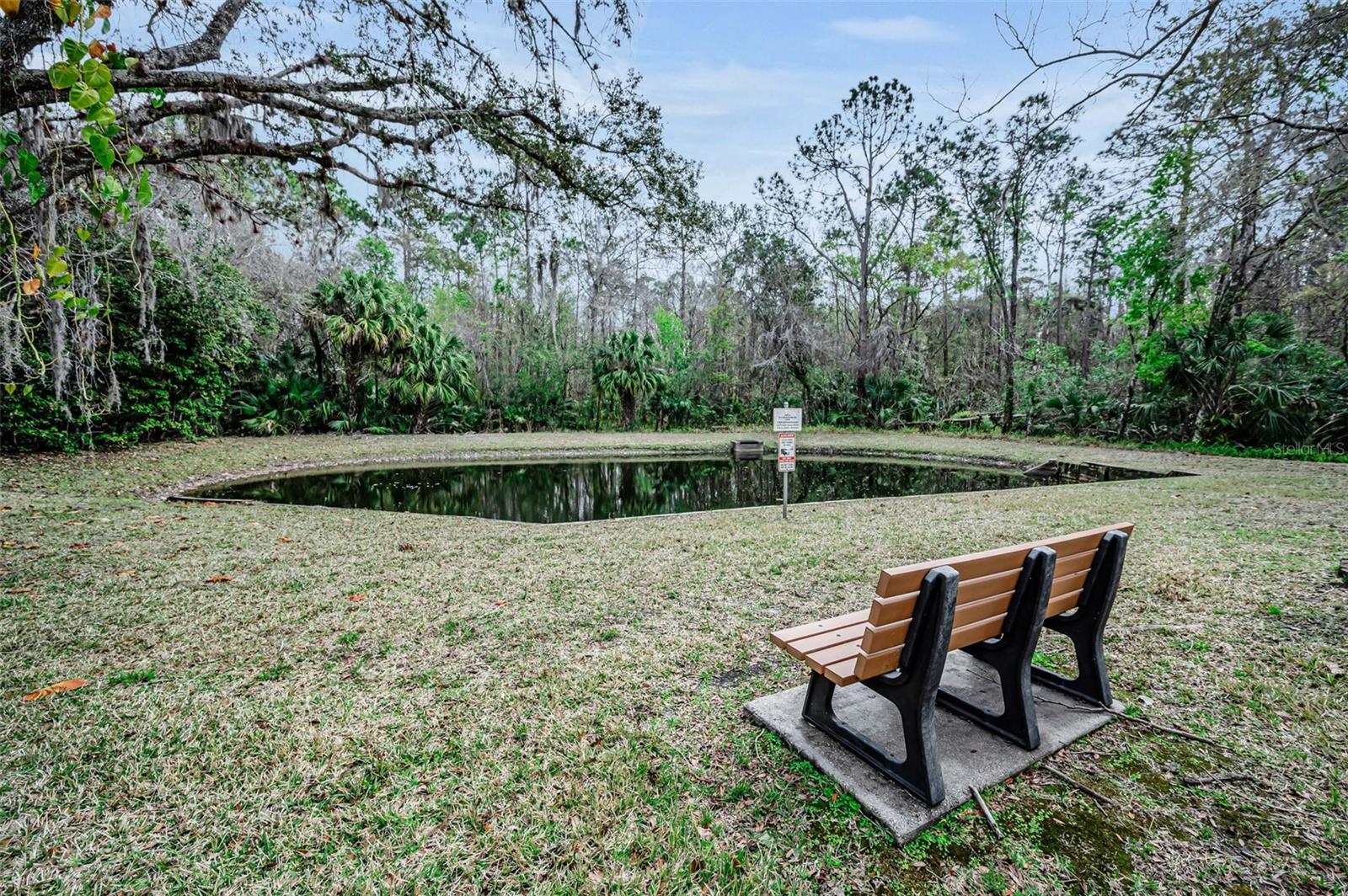 PINE RIDGE AT LAKE TARPON VILLAGE - Residential