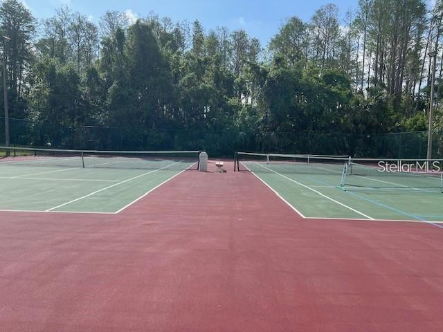 PINE RIDGE AT LAKE TARPON VILLAGE - Residential