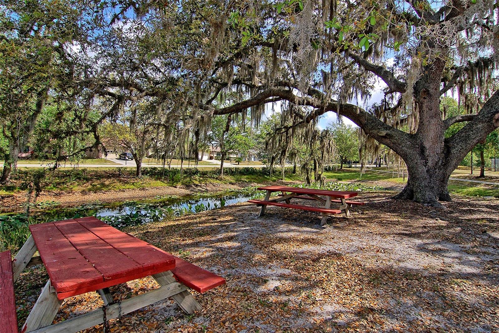 COLONIAL OAKS - Residential