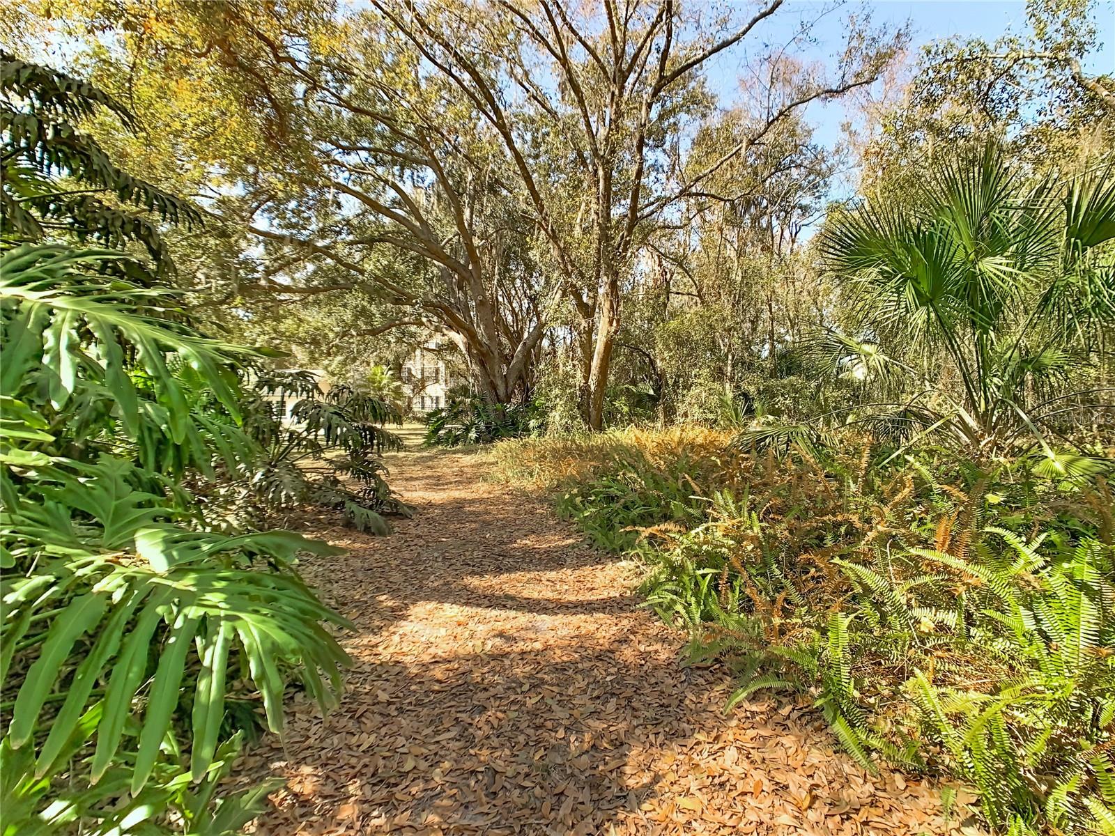 IMPERIAL PLACE A CONDO - Residential